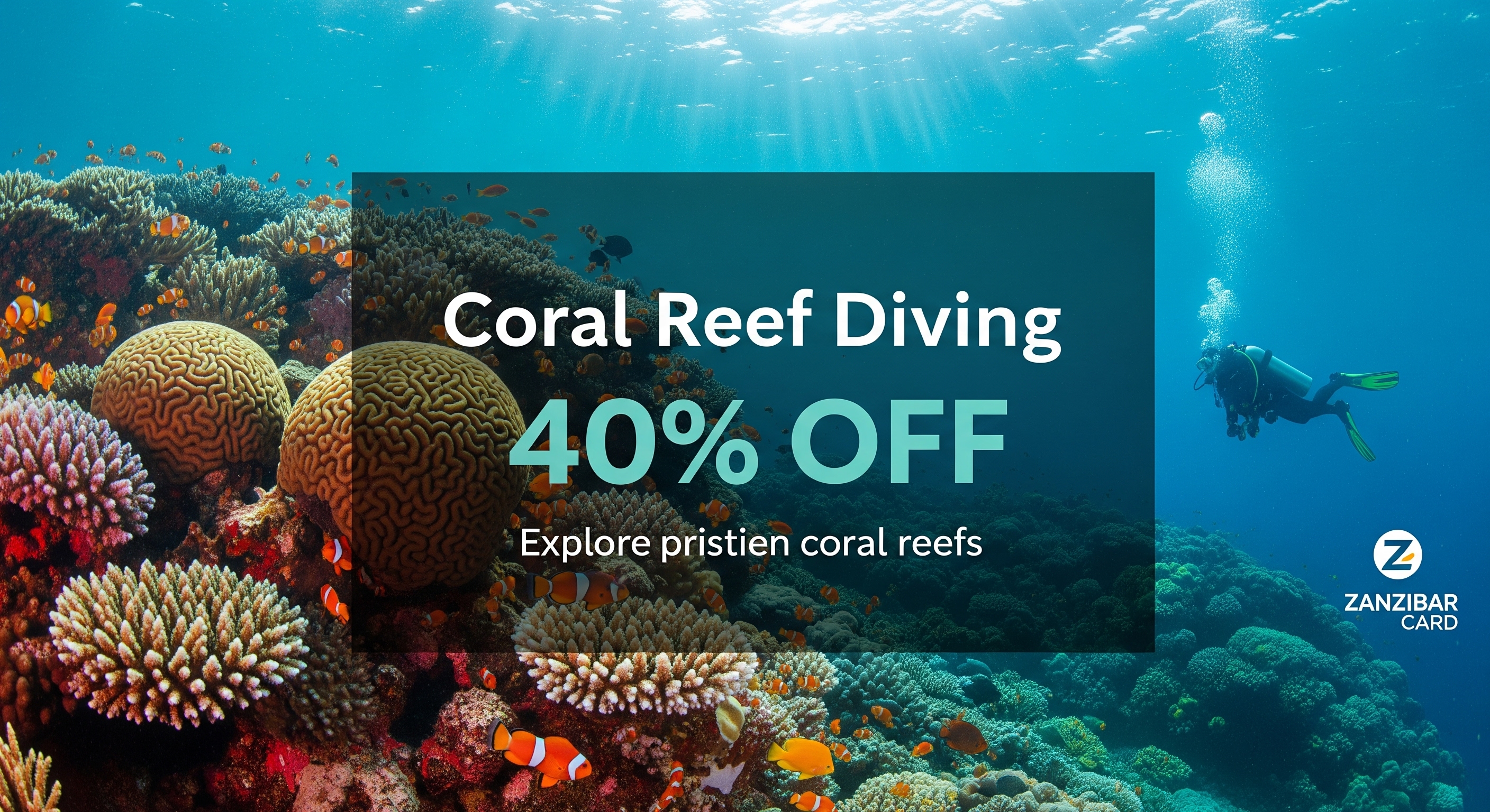 Diving Experience